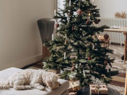 Tips Mudah Menghias Pohon Natal, Simak Yuk!