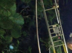 Geger Penampakan Sosok Berwajah Seram Bergigi Tajam di Kuningan