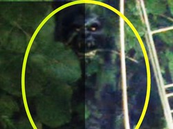 Terkuak! Sosok Seram Bertaring di Kuningan Ternyata...