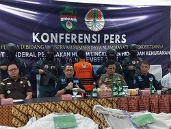 Sindikat Penjualan 1,1 Ton Sisik Trenggiling yang Libatkan 2 Oknum TNI-1 Polisi