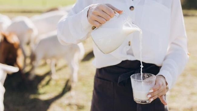 Jangan Asal, Ini Aturan Minum Susu Kambing Etawa untuk Peroleh Manfaat Optimal!