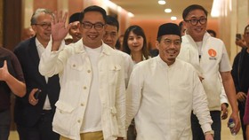 Ketua PPP Jakarta Terkejut RIDO Batal Gugat ke MK: Tak Dibicarakan