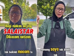 Beri Makan Anjing Liar, Resto Ini Jadi Terkenal dan Ramai Pengunjung