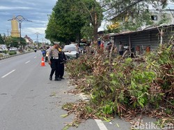 Angin Kencang Tumbangkan 5 Pohon di Kota Mojokerto, 3 Pemotor Luka