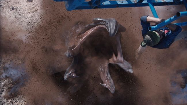 Jadwal Bioskop Trans TV hari ini (28 November) Tremors: Cold Day in Hell. Berikut sinopsis Tremors 6 dibintangi Michael Gross.
