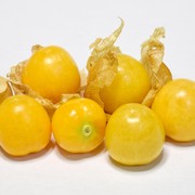 Buah Asal Indonesia Ini Jadi Buruan Asing sebagai Obat Kanker hingga Rematik! Sudah Tahu?