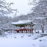 5 Negara di Asia yang Cocok untuk Liburan Musim Dingin Hemat