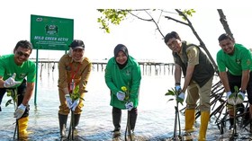 Nestle MILO Giatkan Pelestarian Lingkungan, Tanam 15 Ribu Mangrove