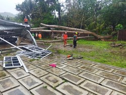 Hujan Angin di Pundong Bantul, Studio Foto Rungkad Tertimpa Pohon Tumbang