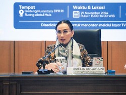Anggota BKSAP DPR Minta RI Tolak Eksistensi Israel, Ungkit Rekam Sejarah