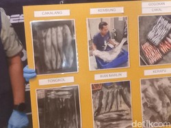 Kirim 1,8 Ton Ikan ke Bali Tanpa Dokumen, 2 Pria Diciduk Polisi