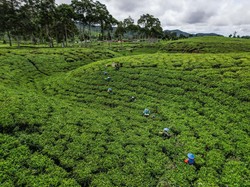 4 Wisata Murmer untuk Libur Lebaran di Kabupaten Bandung