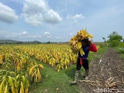 Pengusaha Sebut Relaksasi Aturan Tembakau Bikin Pendapatan Terganggu