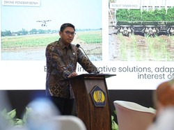 Wamentan Ungkap Potensi Besar Pertanian RI di Forum Internasional OECD