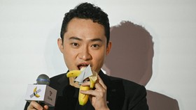 Taipan Kripto Makan Pisang yang Dibeli Rp98M dalam Lelang