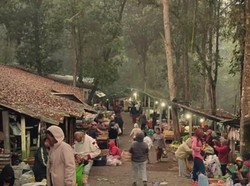 Ada Pasar di Tengah Hutan Kintamani, Rasakan Sensasi Horor