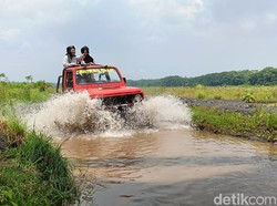 Long Bridge Jeep Tour: Wisata Off Road Menyusuri Keindahan Alam Lumajang