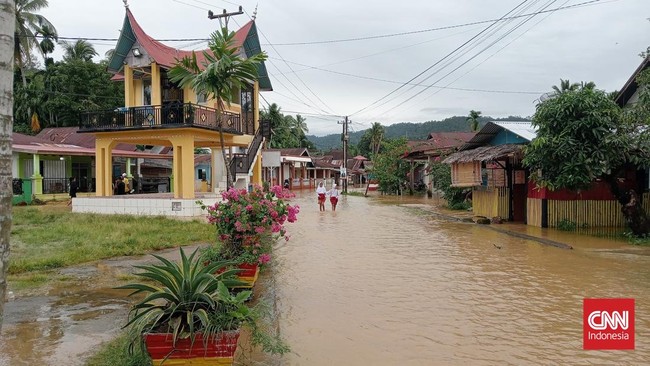 BNPB melaporkan 555 titik jalan rusak di Sumatera Barat (Sumbar) akibat banjir dan longsor.