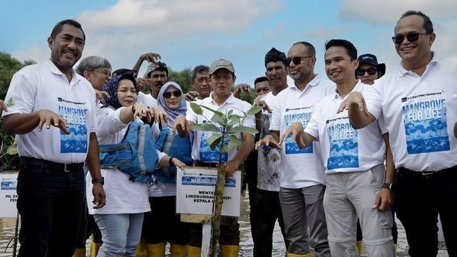 PT Freeport Indonesia bersama Kementerian Lingkungan Hidup melakukan penanaman mangrove di Deli Serdang sebagai bagian dari program 'Magrove for Life'.