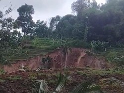 Sawah Warga di Sumedang Rusak Parah gegara Longsor