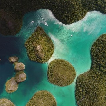 Rekap Respon Polemik Tambang Nikel di Raja Ampat yang Perlu Kamu Tahu!