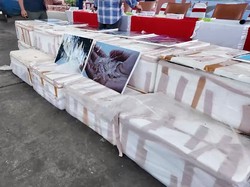 Video: Penampakan 151.000 Benih Lobster Ilegal Senilai Rp 15,1 M di Bintan
