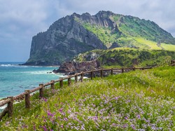Viral di Drakor, Ini Alasan Haenyeo Jeju Kuat Menyelam Tanpa Oksigen