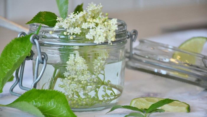 Fakta soal Elderflower, Bunga Indah yang Punya Banyak Khasiat