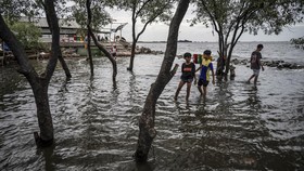 Banjir Rob Kembali Rendam Muara Angke Jumat Pagi Ini