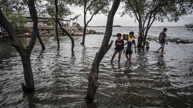 Banjir rob kembali merendam kawasan RW 22 Muara Angke di Jalan Dermaga Ujung 1 Pluit Kecamatan Penjaringan, Jumat (13/12).