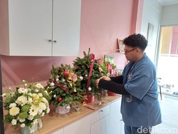 Jelang Natal, Toko Bunga Palembang Banjir Pesanan Bunga Segar-Pohon Pinus