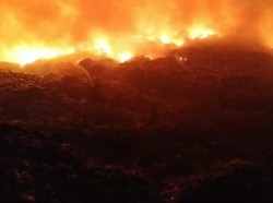 TPA Bakung Bandar Lampung Terbakar, 22 Mobil Pemadam Dikerahkan
