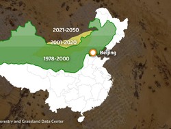 China Sulap Gurun Jadi Hutan, Butuh Berapa Lama?