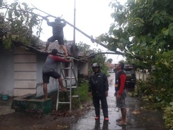 Lisus Ngamuk di Perbatasan Klaten-Gunungkidul, Puluhan Rumah Rusak