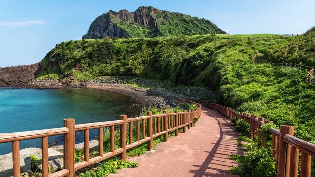 Polisi Korea Selatan meminta bantuan Interpol menangkap 2 turis China yang dituduh mencuri beberapa guci kremasi dari sebuah kuil di Pulau Jeju, Korea Selatan.