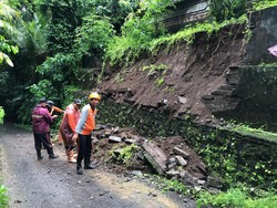 Hujan Deras Akibatkan Longsor-Pohon Tumbang di Klungkung