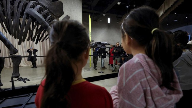 FOTO: Museum Sejarah Alam Amerika Pamerkan Fosil Stegosaurus