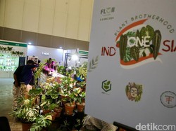 Tanaman Hias RI Siap Kuasai Pasar Global, Ini Strateginya