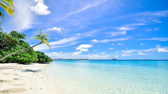 7 Daftar Pantai Termahal di Dunia, Kalau Mau Berlibur ke Sini Perlu Siapkan Banyak Bujet!