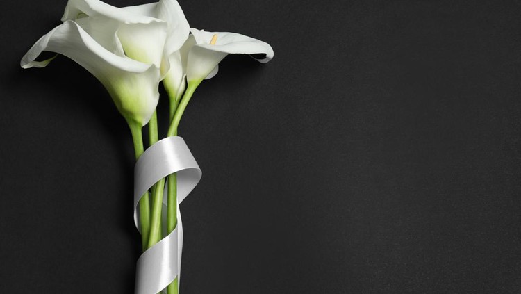 Ilustrasi duka cita Beautiful calla lilies and white ribbon on black background, flat lay with space for text. Funeral symbol