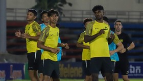 Media Malaysia: Harimau Malaya Tidak Cukup Makan?