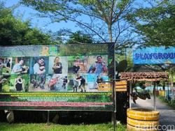 5 Rekomendasi Wisata di Sergai untuk Liburan, Tak Jauh dari Kota Medan