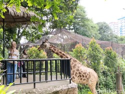 Harga Tiket Kebun Binatang Bandung Desember 2024: Liburan Seru Akhir Tahun