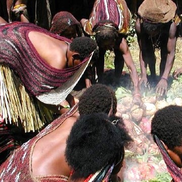 Mengenal Barapen, Tradisi Unik Bakar Batu Masyarakat Papua Jelang Perayaan Natal