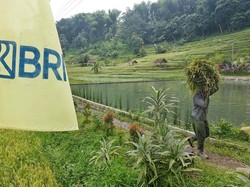 BRI Sebut KUR Mampu Tingkatkan Keuntungan 34-38% untuk Debitur