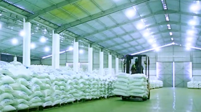 PT Garam Gandeng Swasta Serap Garam Petani Madura — Target Stabilisasi Harga