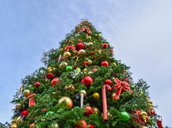 Pohon Natal Raksasa di Rumah Warga Mendadak Jadi Tempat Foto