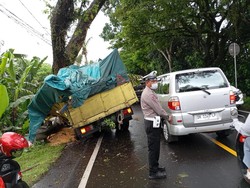 Hindari Tabrakan, Truk Muat Jagung Tabrak Pohon di Jalan Denpasar-Gilimanuk