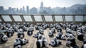 FOTO: Festival 2.500 Patung Panda di Hong Kong, Rayakan Populasi Panda