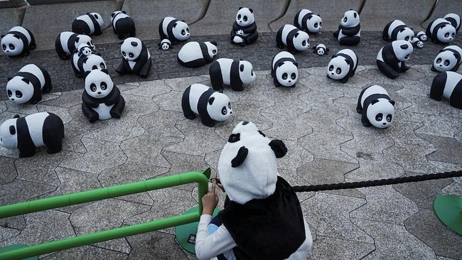 FOTO: Festival 2.500 Patung Panda di Hong Kong, Rayakan Populasi Panda